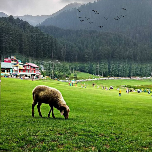 Khajjiar holiday