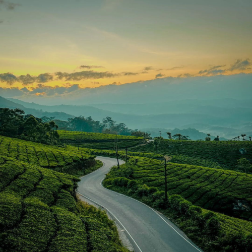 Munnar holiday