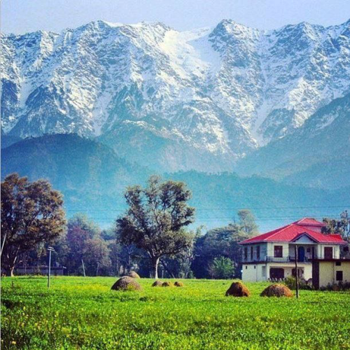 Palampur holiday