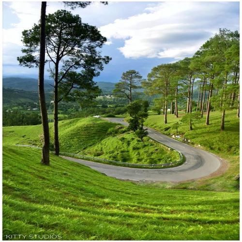 Almora holiday