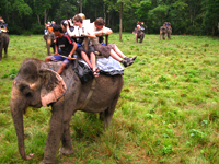 Chitwan holiday
